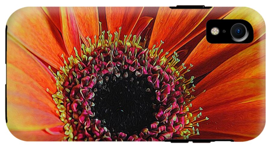 Yellow Orange Daisy Close Up - Phone Case