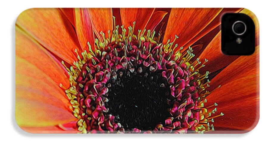 Yellow Orange Daisy Close Up - Phone Case