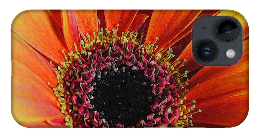 Yellow Orange Daisy Close Up - Phone Case