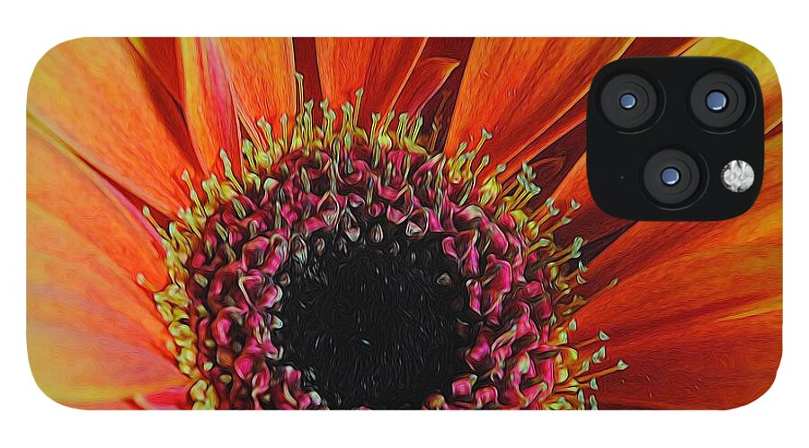 Yellow Orange Daisy Close Up - Phone Case
