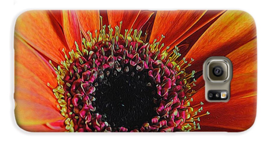 Yellow Orange Daisy Close Up - Phone Case