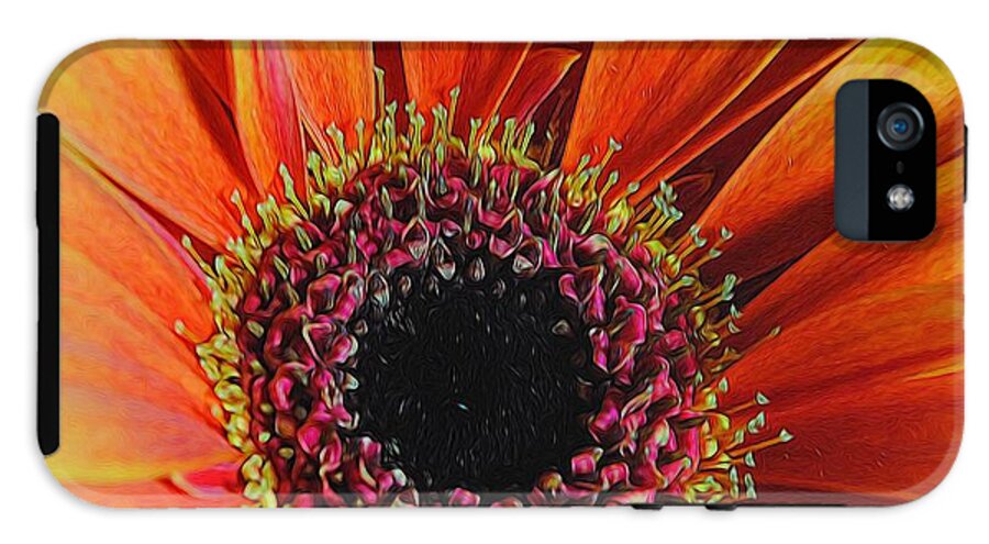 Yellow Orange Daisy Close Up - Phone Case