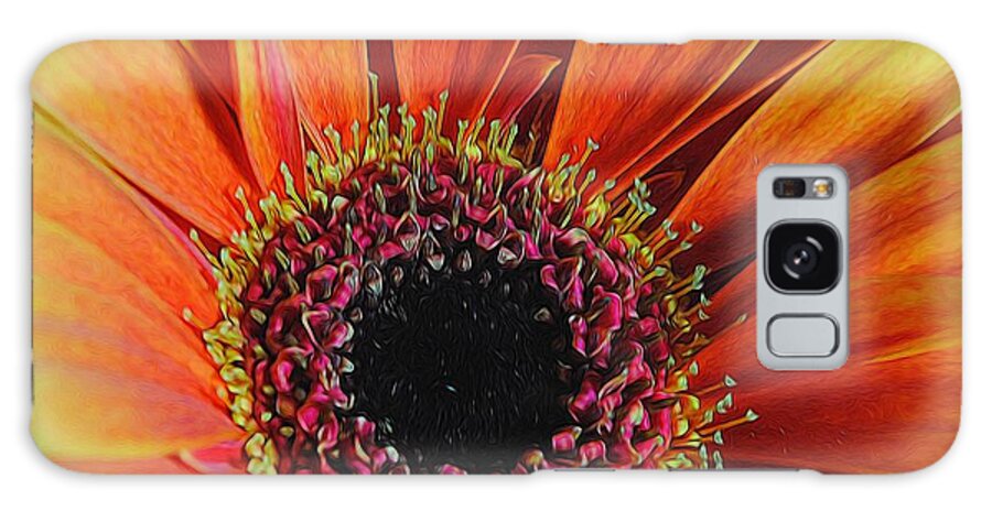 Yellow Orange Daisy Close Up - Phone Case