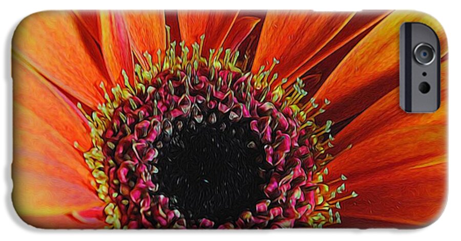 Yellow Orange Daisy Close Up - Phone Case