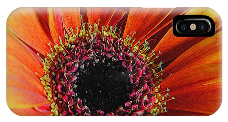 Yellow Orange Daisy Close Up - Phone Case
