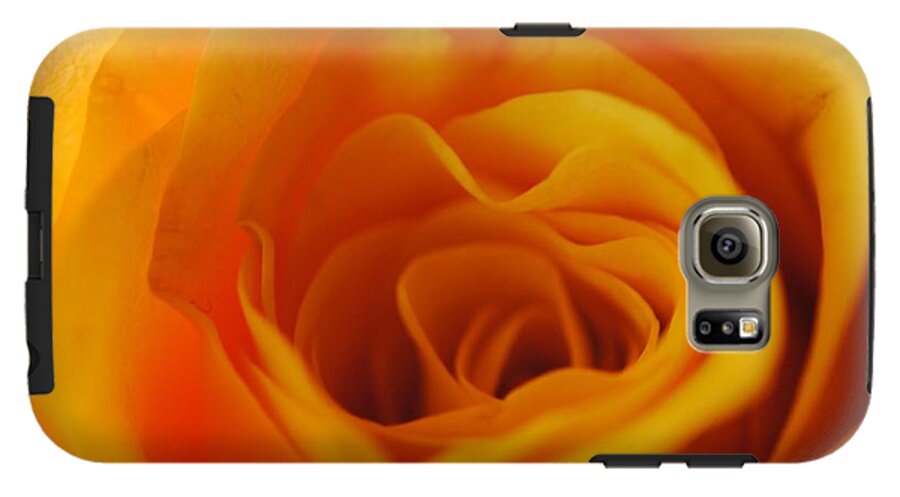 Yellow Rose Close Up - Phone Case