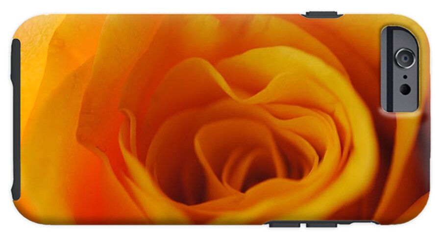 Yellow Rose Close Up - Phone Case