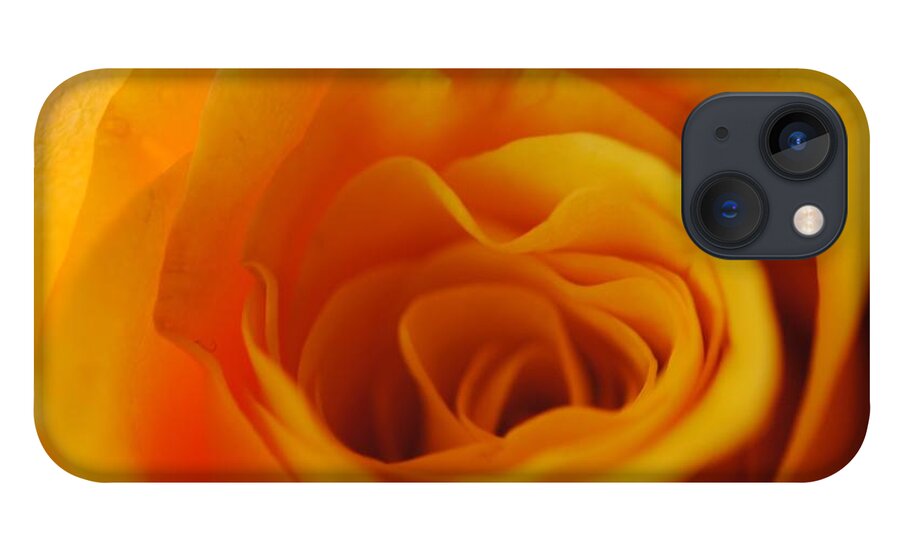 Yellow Rose Close Up - Phone Case