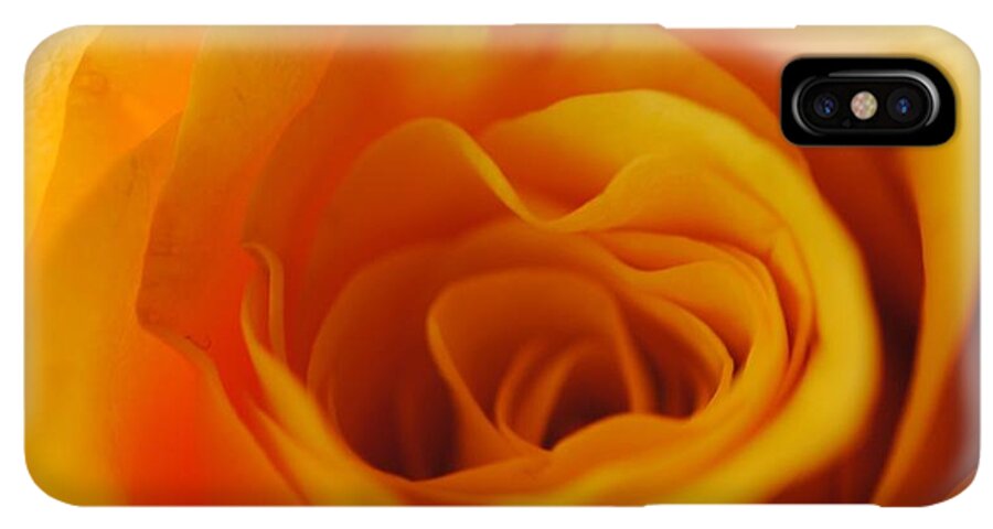 Yellow Rose Close Up - Phone Case