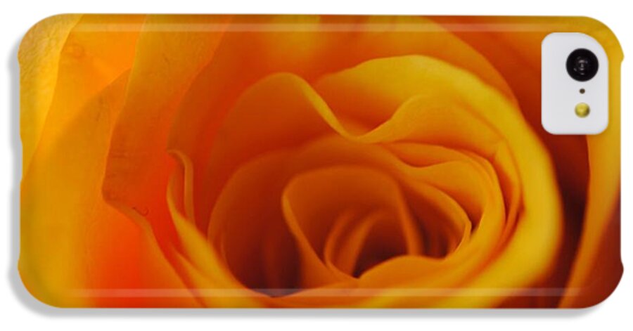 Yellow Rose Close Up - Phone Case