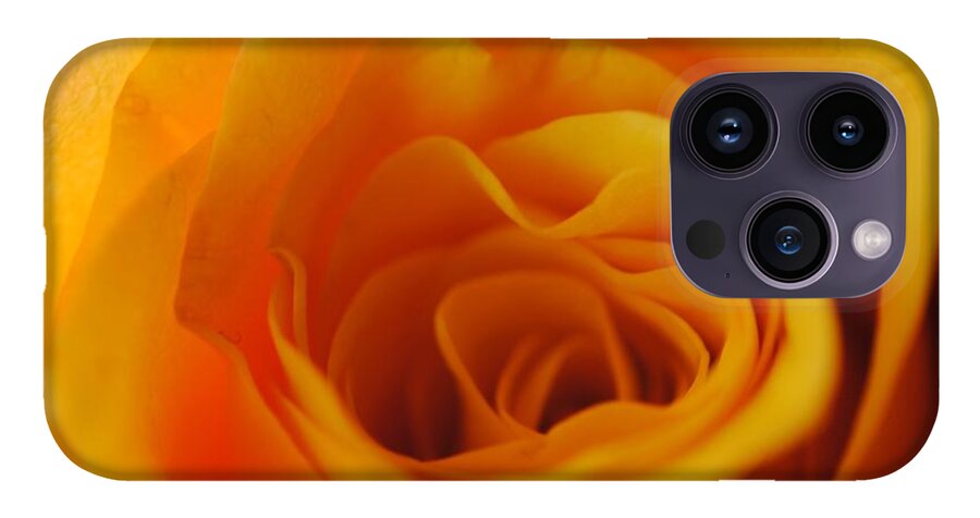 Yellow Rose Close Up - Phone Case