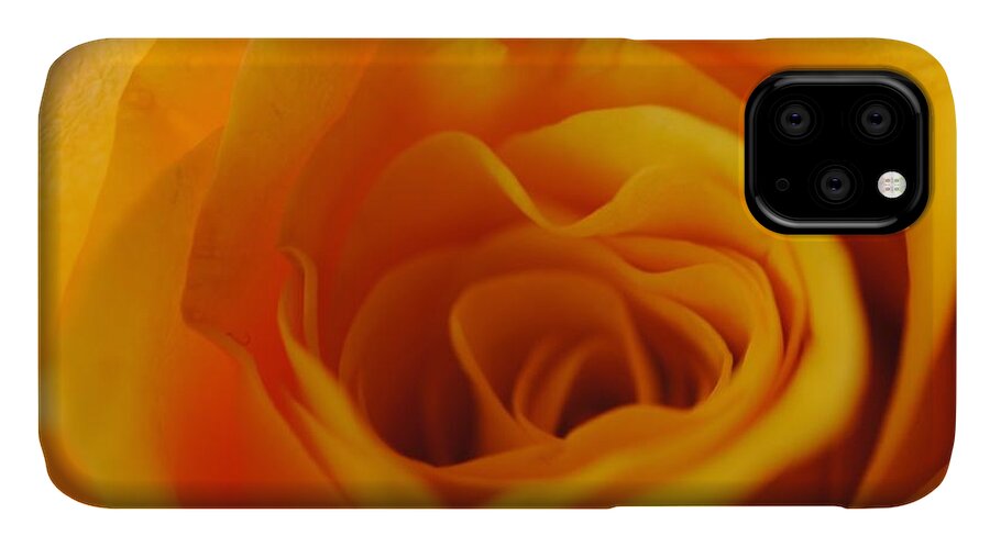 Yellow Rose Close Up - Phone Case