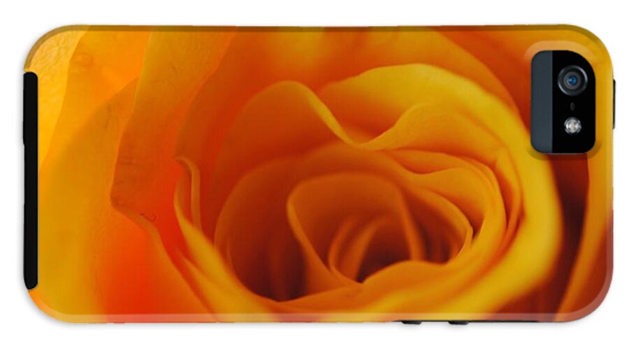 Yellow Rose Close Up - Phone Case