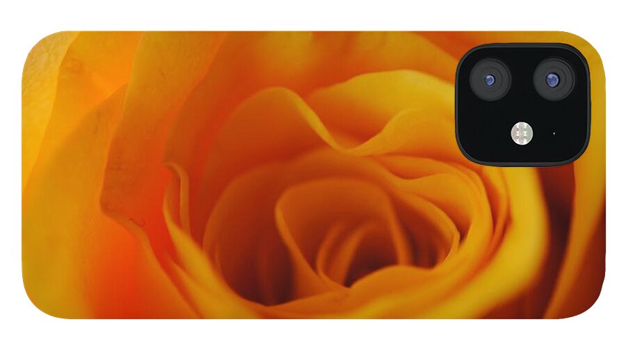Yellow Rose Close Up - Phone Case