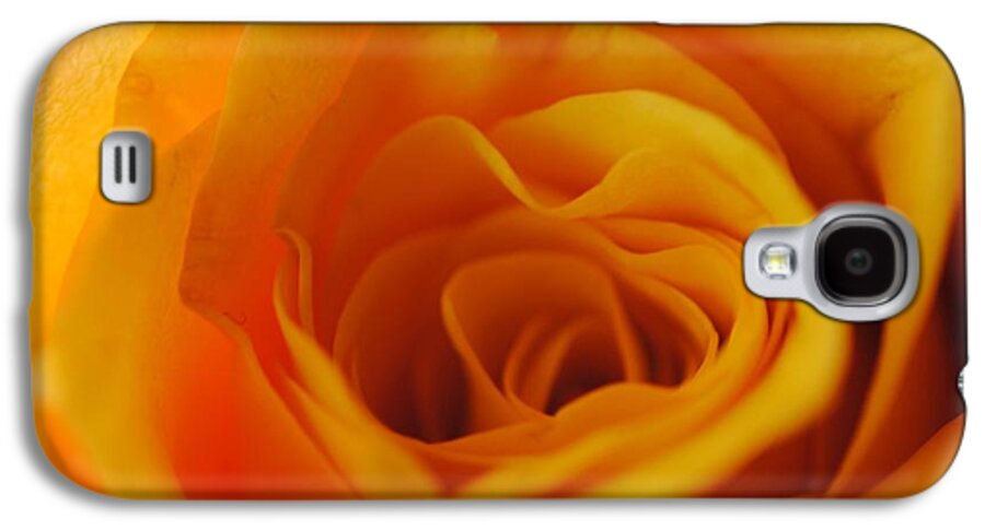 Yellow Rose Close Up - Phone Case