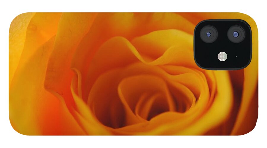 Yellow Rose Close Up - Phone Case
