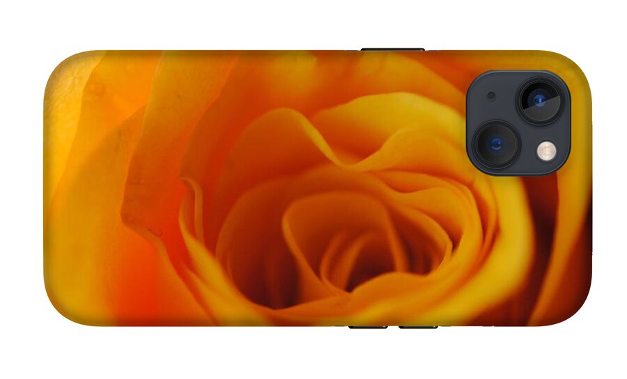 Yellow Rose Close Up - Phone Case