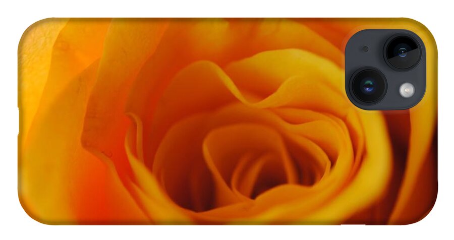 Yellow Rose Close Up - Phone Case