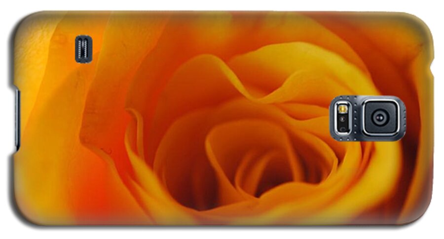 Yellow Rose Close Up - Phone Case