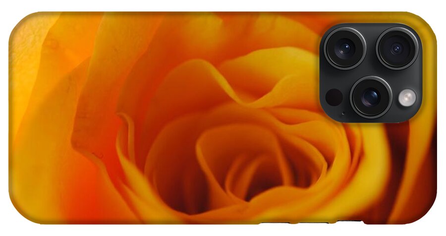Yellow Rose Close Up - Phone Case