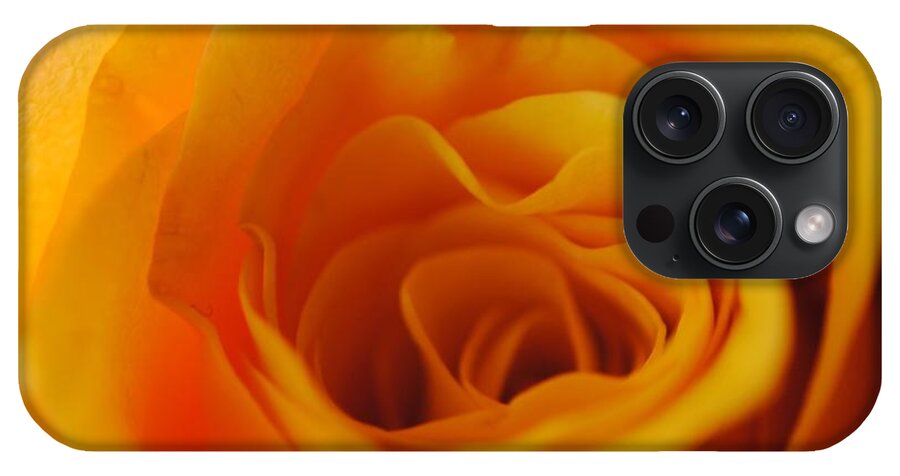 Yellow Rose Close Up - Phone Case