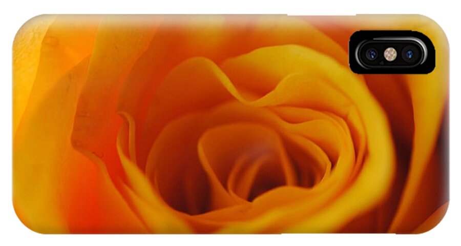 Yellow Rose Close Up - Phone Case