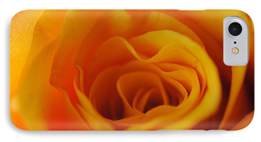 Yellow Rose Close Up - Phone Case