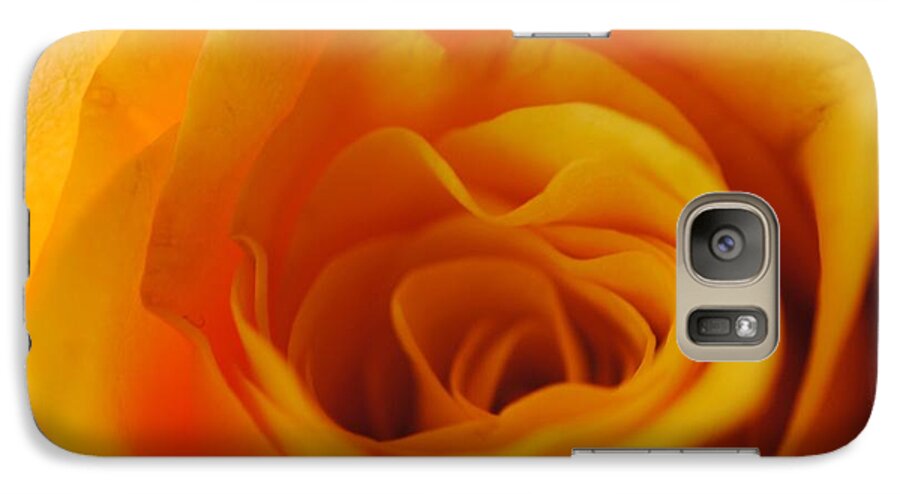 Yellow Rose Close Up - Phone Case