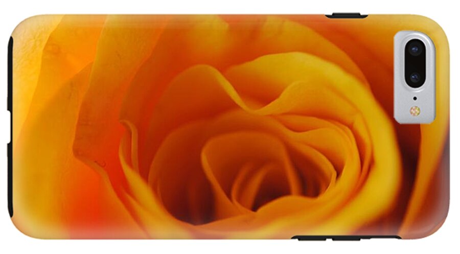 Yellow Rose Close Up - Phone Case