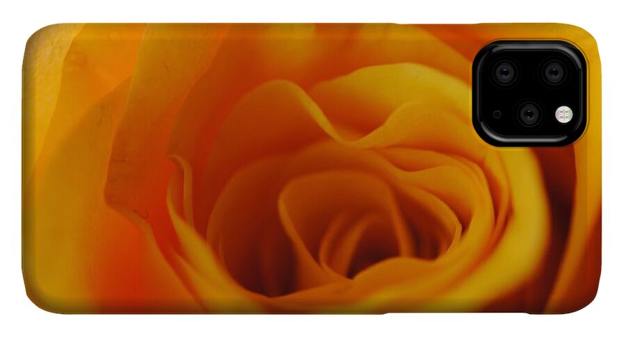 Yellow Rose Close Up - Phone Case