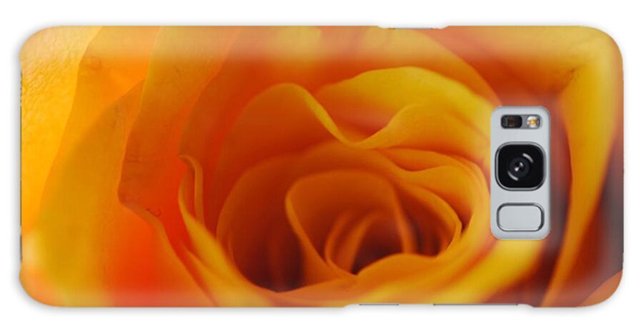 Yellow Rose Close Up - Phone Case