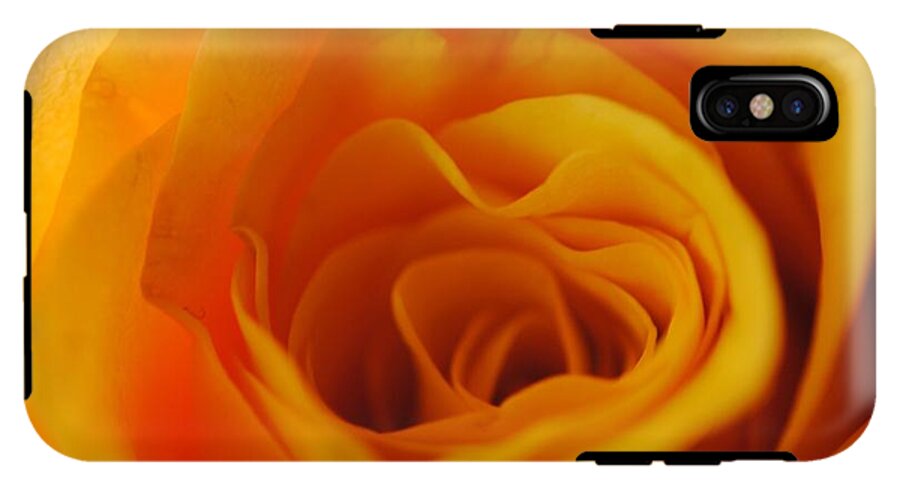 Yellow Rose Close Up - Phone Case
