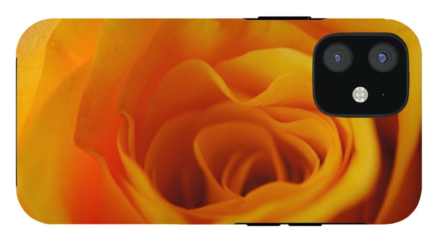 Yellow Rose Close Up - Phone Case