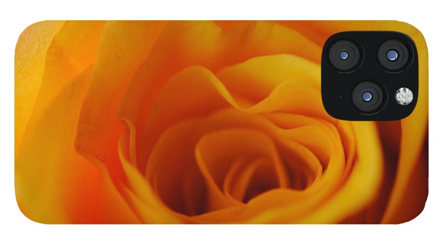 Yellow Rose Close Up - Phone Case