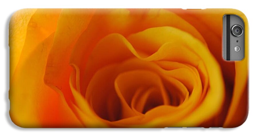 Yellow Rose Close Up - Phone Case
