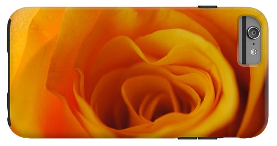 Yellow Rose Close Up - Phone Case