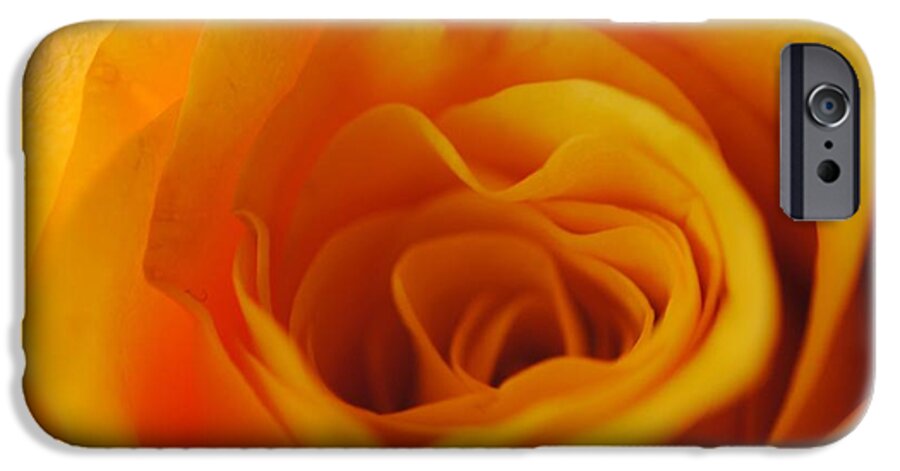 Yellow Rose Close Up - Phone Case