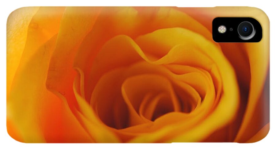 Yellow Rose Close Up - Phone Case