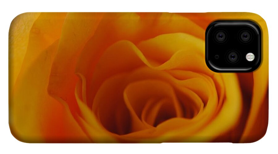 Yellow Rose Close Up - Phone Case