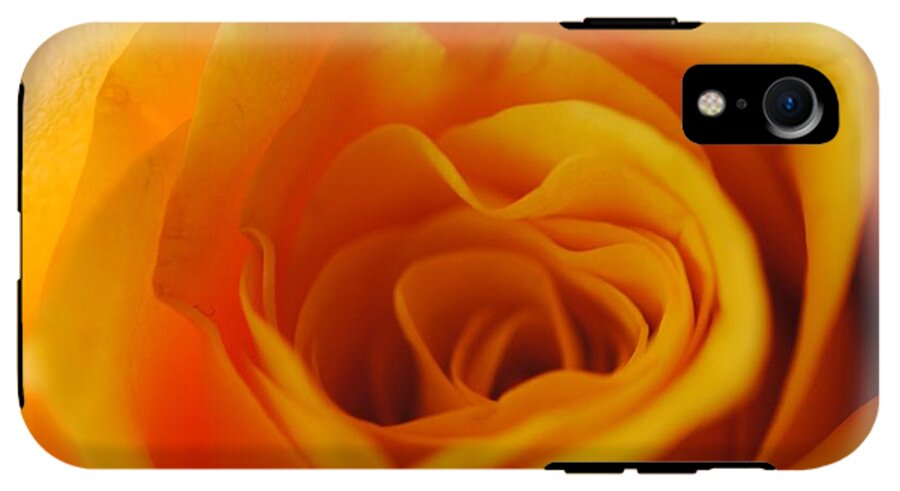 Yellow Rose Close Up - Phone Case