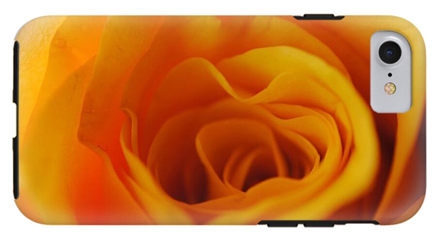 Yellow Rose Close Up - Phone Case