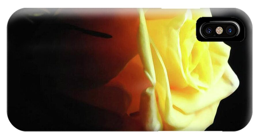 Yellow Rose Sideview - Phone Case