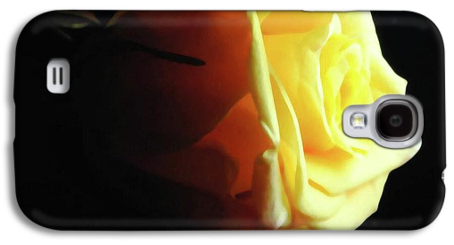 Yellow Rose Sideview - Phone Case