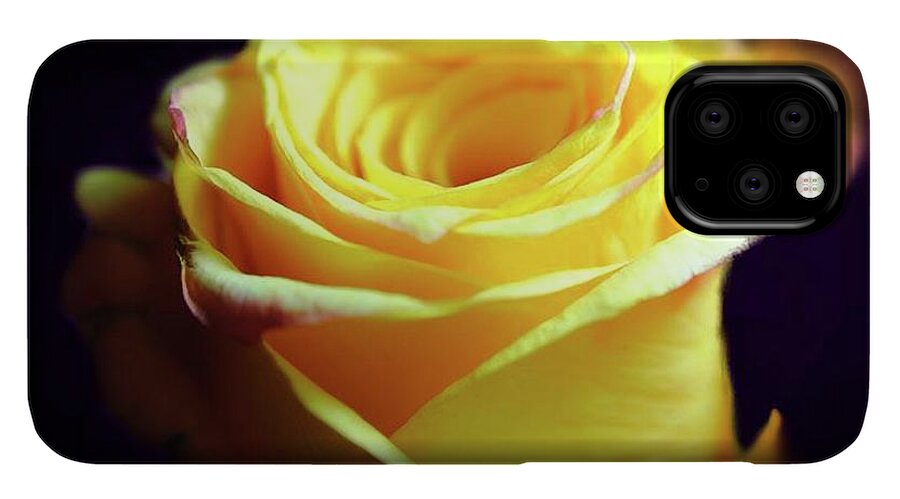 Yellow Rose Soft Light - Phone Case
