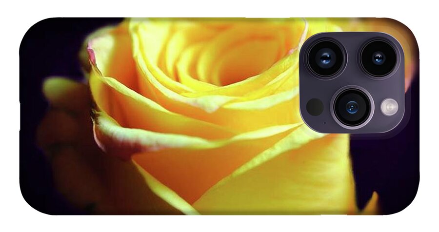 Yellow Rose Soft Light - Phone Case