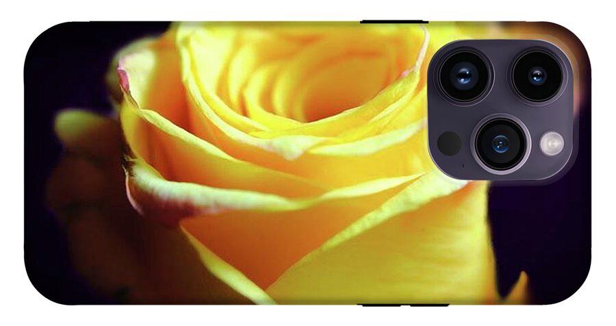 Yellow Rose Soft Light - Phone Case