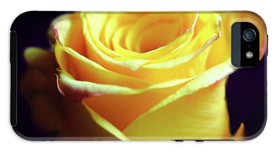 Yellow Rose Soft Light - Phone Case