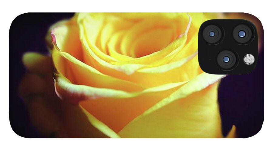 Yellow Rose Soft Light - Phone Case