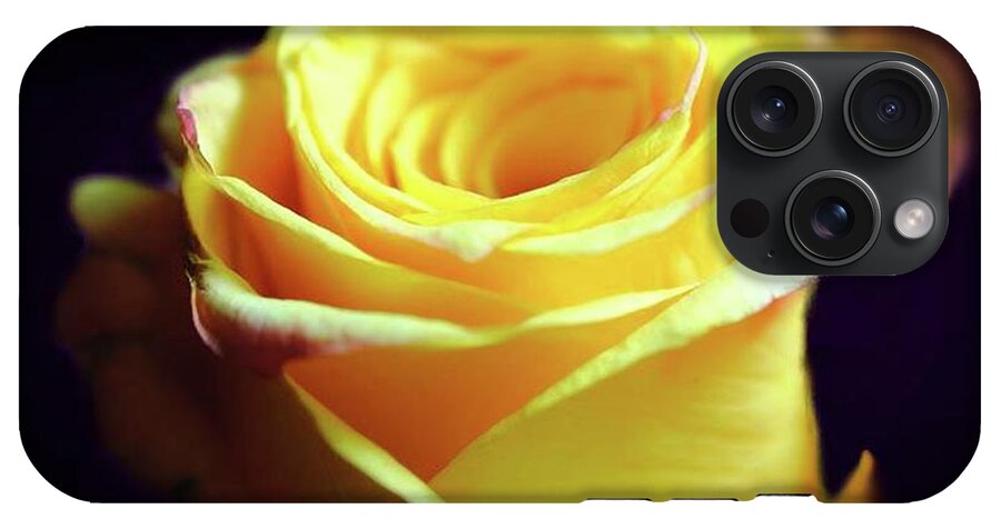 Yellow Rose Soft Light - Phone Case