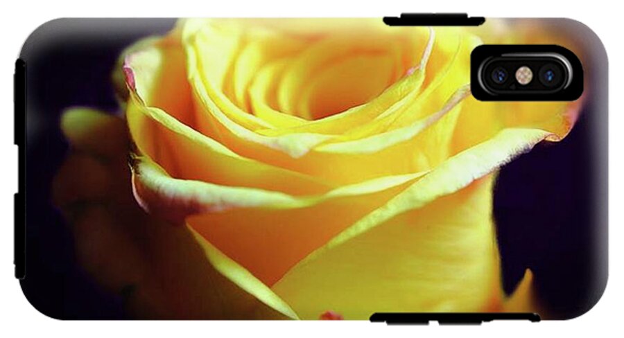 Yellow Rose Soft Light - Phone Case